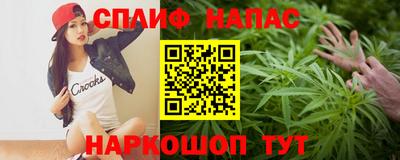 хмурый Майкоп