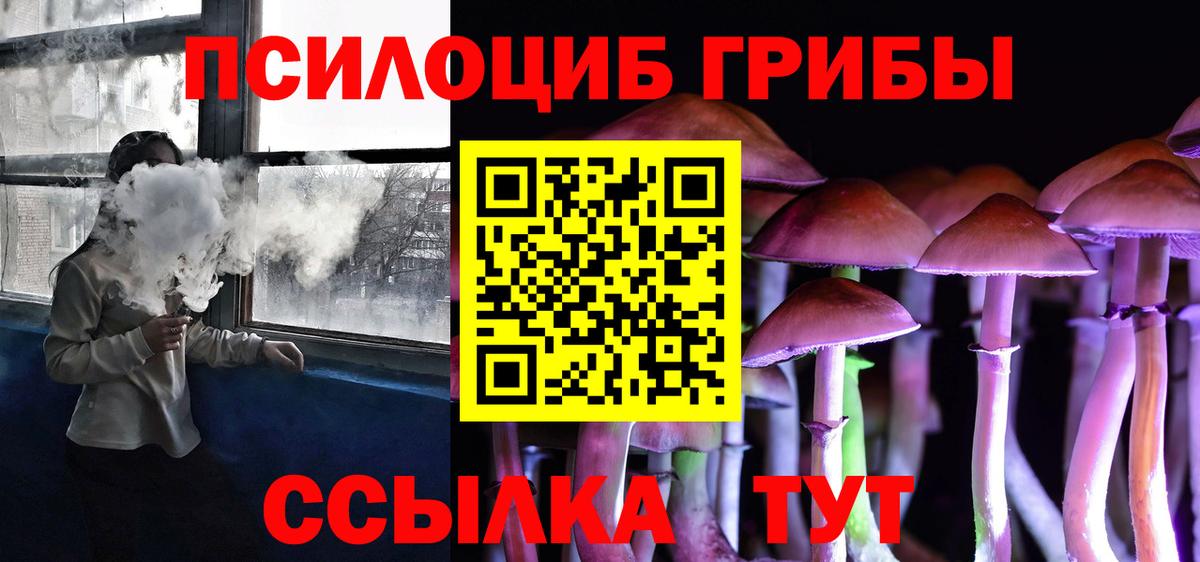 Псилоцибиновые грибы Psilocybine cubensis Выборг