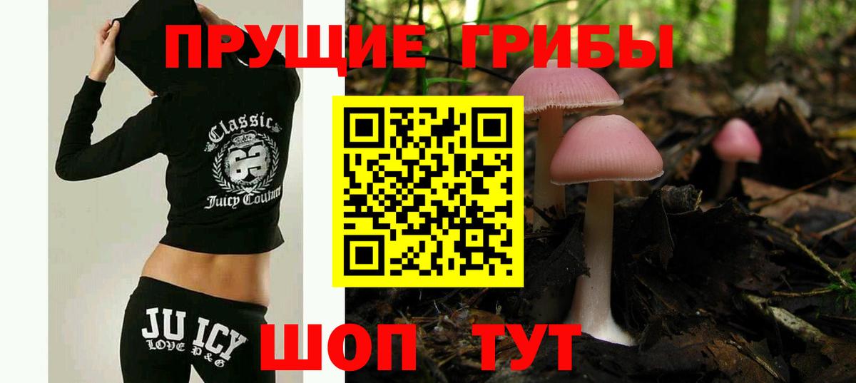 Псилоцибиновые грибы мицелий  Вход с VPN  Выборг  Псилоцибиновые грибы мухоморы 